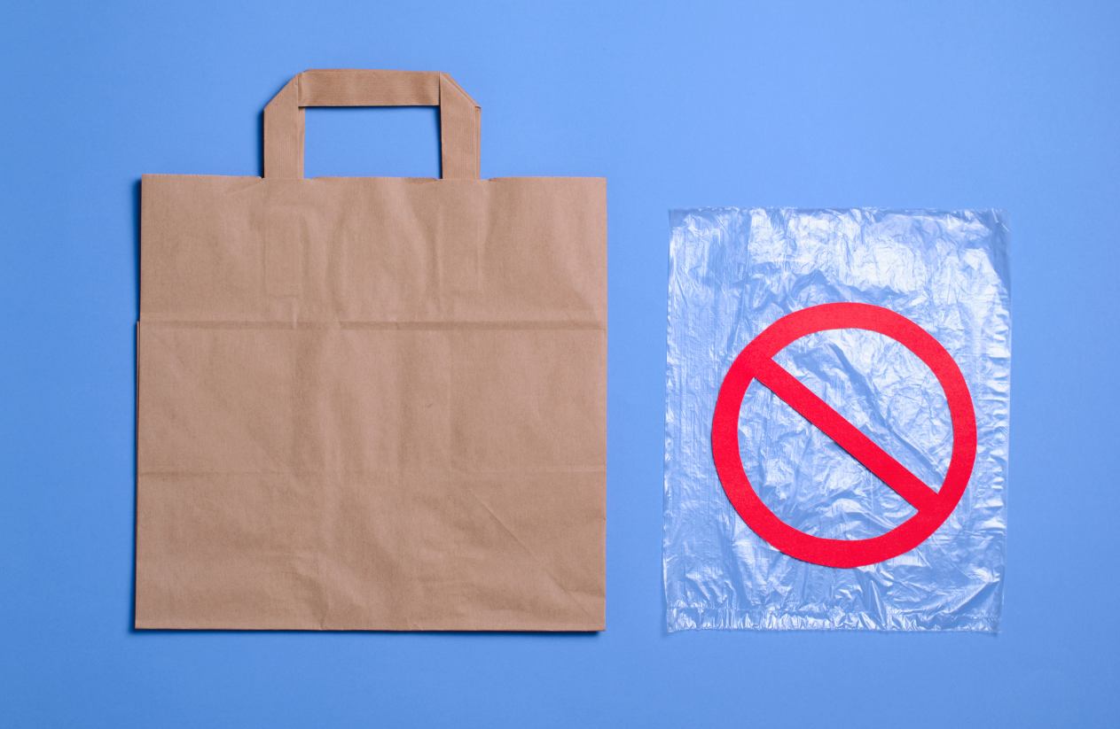 Eco-Friendly Substitutes for Plastic